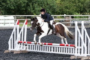 Class 3 -  Fences not above 2'3